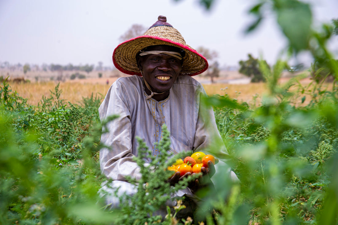 Du producteur à votre assiette : le voyage fascinant des produits Delwende