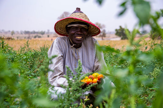 Du producteur à votre assiette : le voyage fascinant des produits Delwende