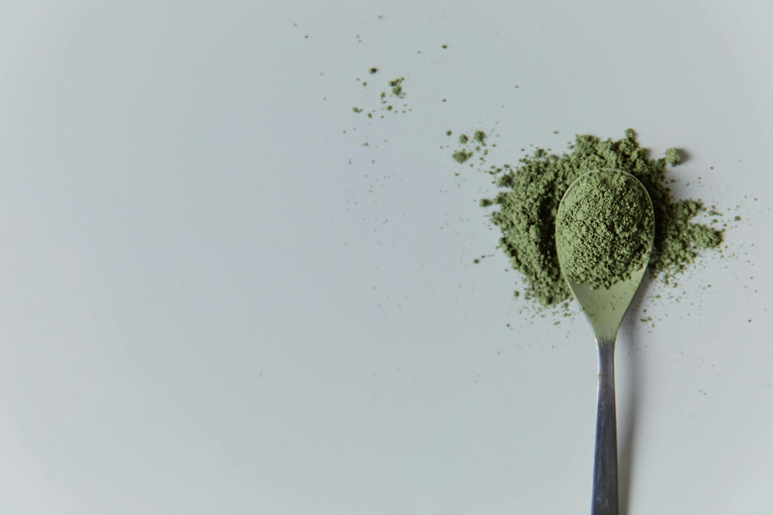 Tout savoir sur le moringa : bienfaits, usages et recettes
